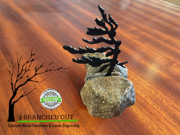 Rocky Windswept Pine