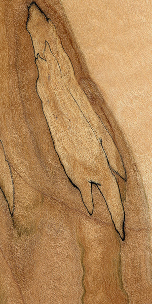 Spectacular Spalted Maple Pen