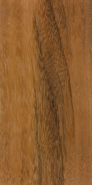 Exquisite Tigerwood Pen