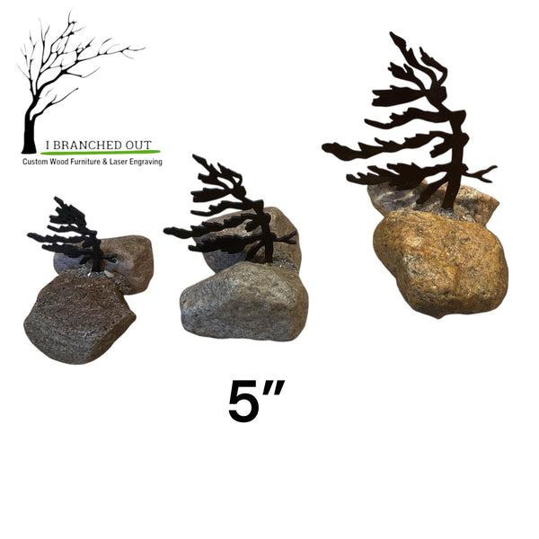 Rocky Windswept Pine