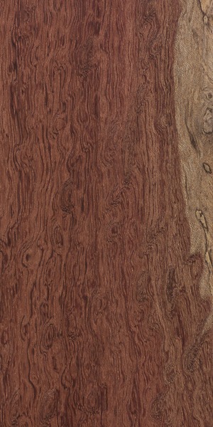 Breathtaking Bubinga Wooden Pen