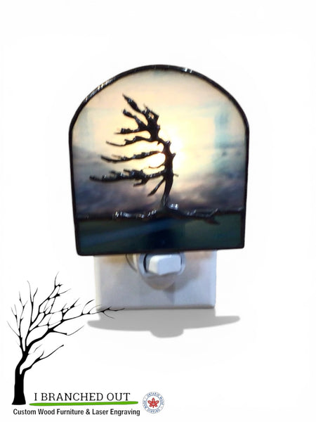 “A Beacon through the Fog” Windswept Pine - Stained Glass Night Light