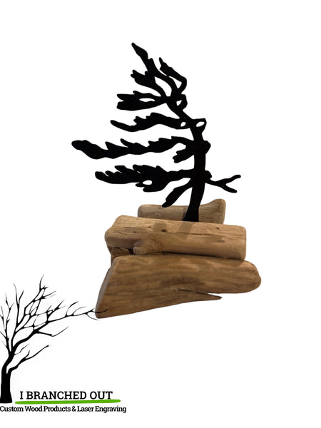 Windswept Pine on Driftwood