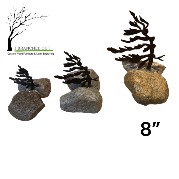 Rocky Windswept Pine