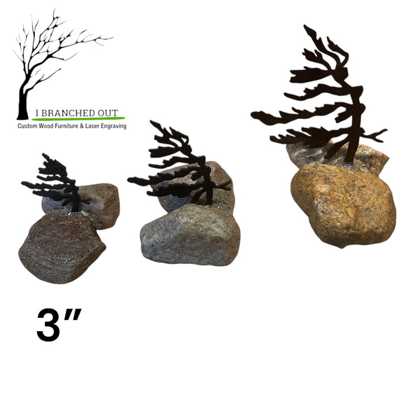 Rocky Windswept Pine