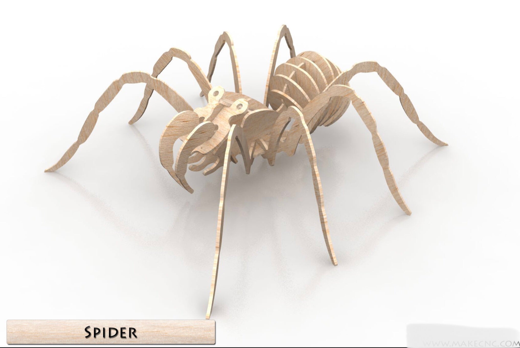 3D Puzzle- Insect Collection: Spider