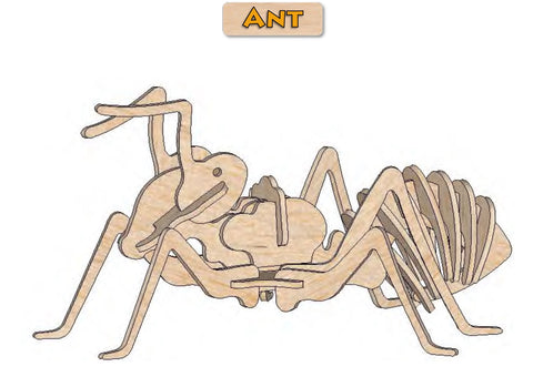 3D Puzzle- Insect Collection: Ant