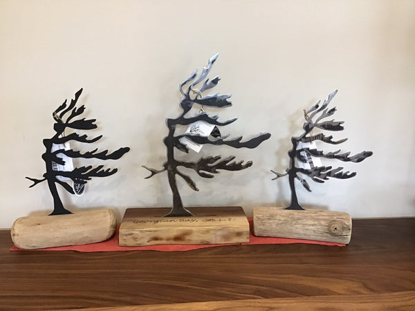 Windswept Pine, freestanding with Driftwood Base