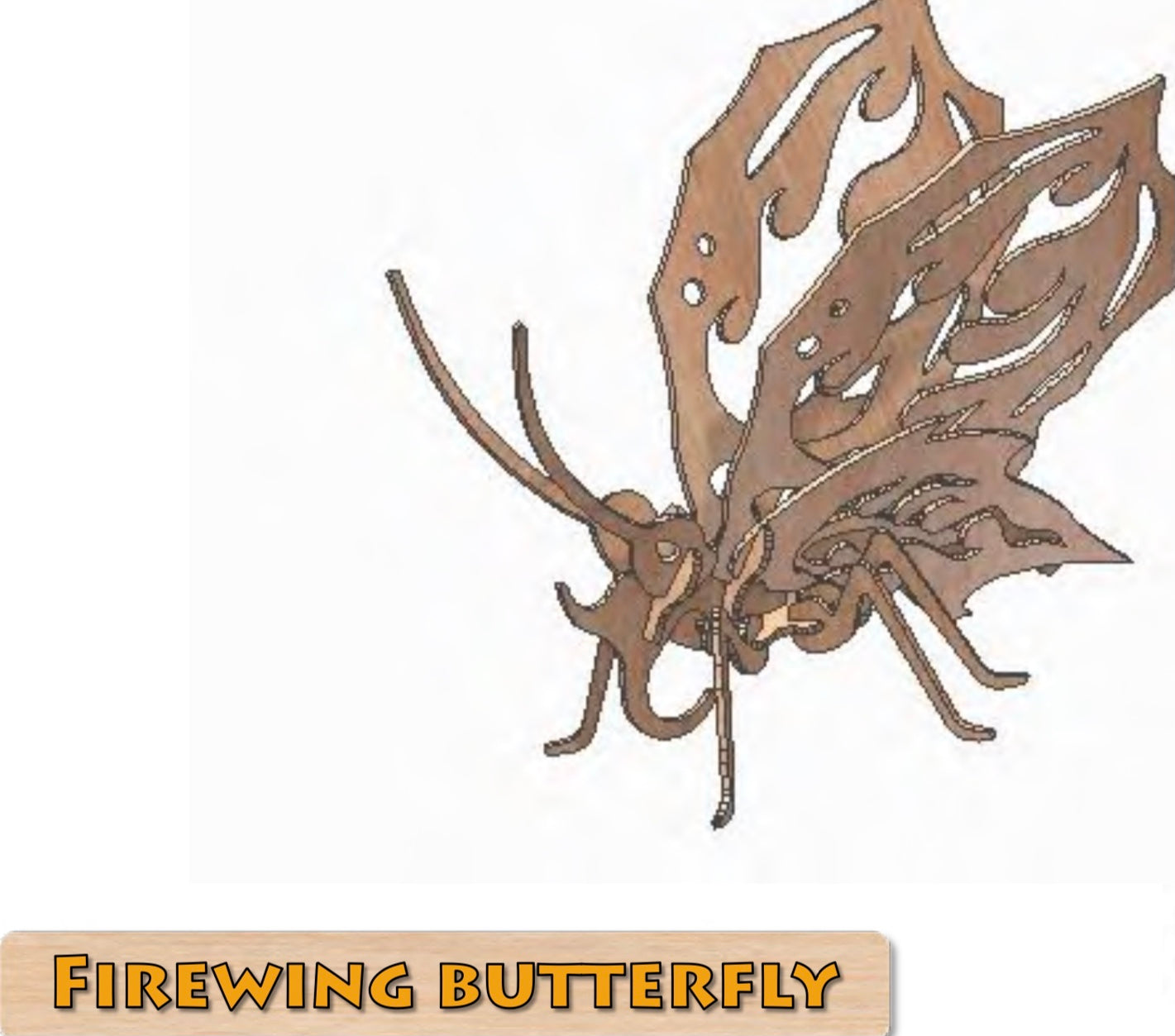 3D Puzzle, Insect Collection - Firewing Butterfly
