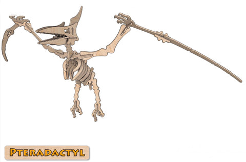 3D Puzzle- Dinosaur Collection: Pteradactyl