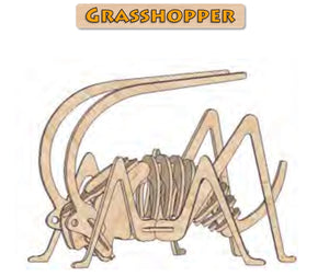3D Puzzle, Insect Collection - Grasshopper